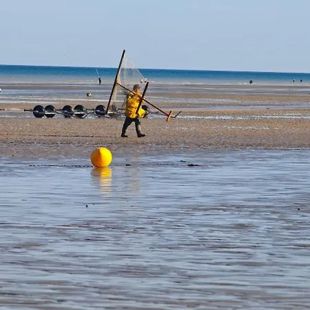 Grain De Sable Vue